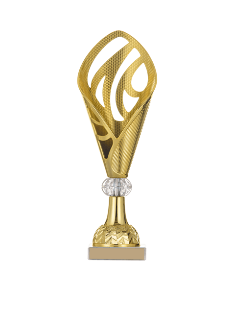 https://coolshape.fr/wp-content/uploads/2022/11/trophy_03.png