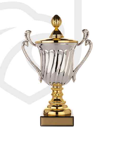 https://coolshape.fr/wp-content/uploads/2022/11/trophy_overlay_02.jpg