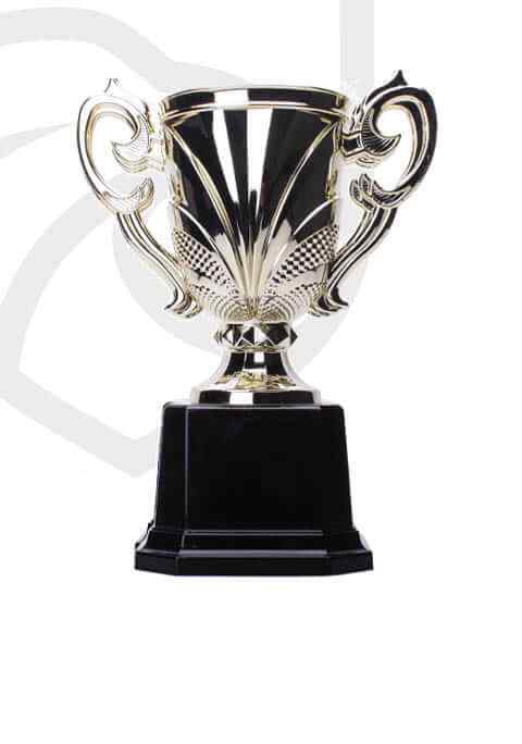 https://coolshape.fr/wp-content/uploads/2022/11/trophy_overlay_04.jpg